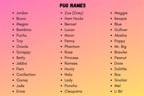 pug names  awesome  cute pug  ideas