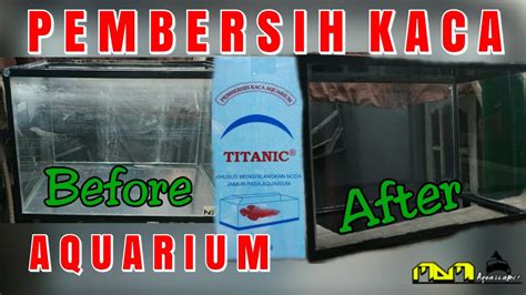 membersihkan kaca aquarium titanic  youtube