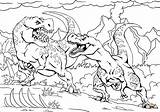 Coloring Pages Fight Rex Tyrannosaur Printable Dinosaurs Tyrannosaurus Drawing sketch template