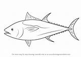 Tuna Bluefin Draw Atlantic Fish Drawing Clipart Sketch Step Drawings Fishes Coloring Diagrams Northern Kids Learn Drawingtutorials101 Giant Sketches Sea sketch template