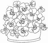 Coloring Pansy Flowers Pages Pansies Drawing Patterns Dessin Plante Painting Flower Printable Color Embroidery Une Coloriage Imprimer Adults Colouring Getcolorings sketch template
