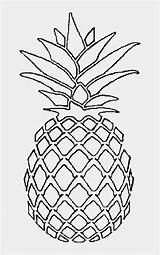 Pineapple Drawing sketch template