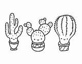 Cactus Coloring Mini Colorare Disegni Tumblr Aesthetic Coloringcrew Template sketch template