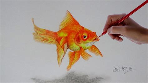 fish drawing  pencil  getdrawings