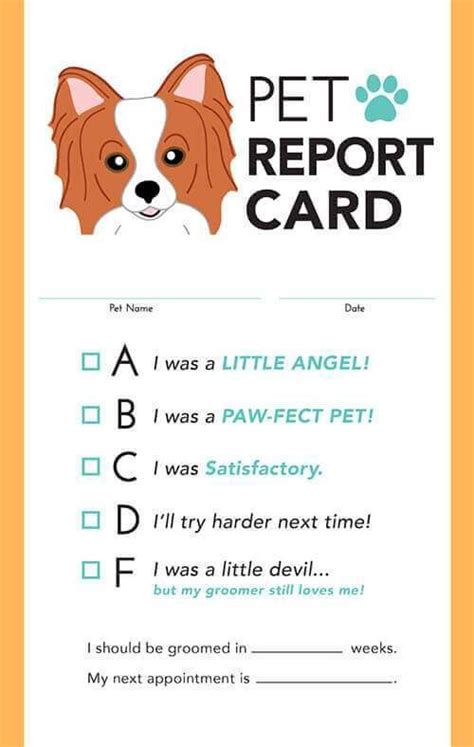 doggy daycare report card template