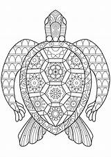 Tortue Coloriage Mandala Tortues Coloriages Adultes Colorier Difficiles sketch template