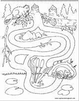 Beaver Labyrinth Toca Castor Coloringhome Popular sketch template