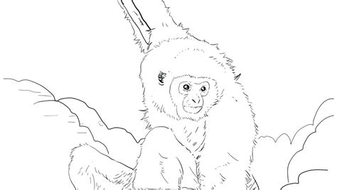 orangutan coloring page  getcoloringscom  printable colorings