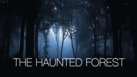 haunted forest youtube