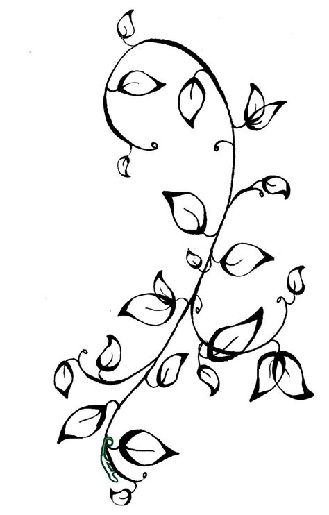 simple flower  vine sketch picture gallery clipart