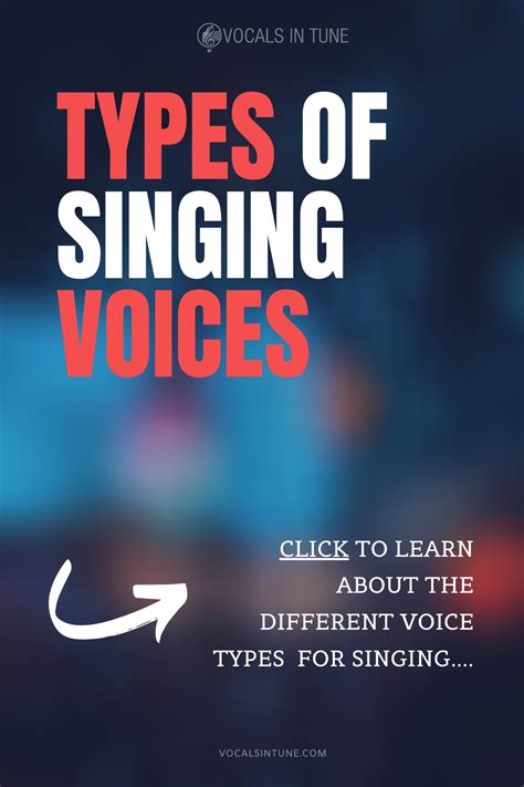 types  singing voices voice type singing  voice