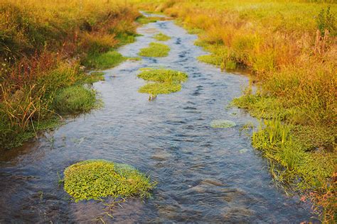 helping property owners manage  streams