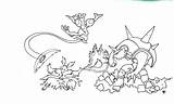 Amphinobi Venusaur Magique Mewtwo Evolutions Legendaire Xy Mignon Colorier Drizzle Charizard Evolved Advocating Ohbq Remarquable Accompany Ancenscp Coloriages Starters Danieguto sketch template