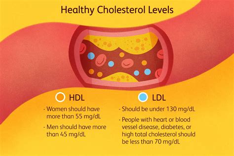 ldl  bad cholesterol unveiling  silent threat