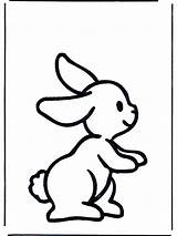 Konijn Dieren Kaninchen Lapin Klein Konijntje Ausmalbilder Conejo Ausdrucken Coloriage Malvorlagen Hasen Coelho Colorare Coniglietto Ausmalen Konijnen Conejito Animaux Rabbit sketch template