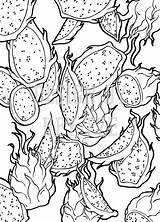 Fruit Dragon Etsy Coloring Pages Pitaya Illustration Colouring sketch template