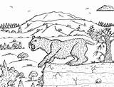 Smilodon Coloring Pages Color Tooth Saber Robin Great sketch template
