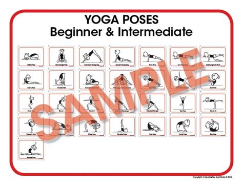 yoga poses beginner intermediate gymtastics gymtools