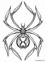 Colorear Spinne Widow Spinnen Malvorlage Arañas Cool2bkids Clipartmag Linea Araña sketch template
