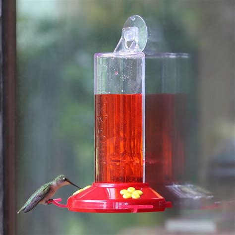 amazoncom perky pet window mount hummingbird feeder iridescent color