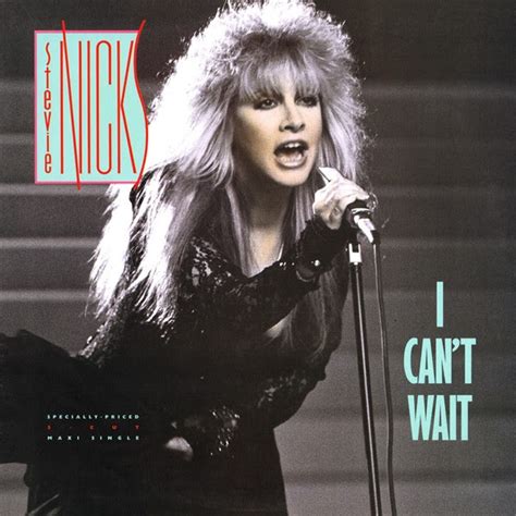 Download Music Descarga Blog Stevie Nicks I Can´t Wait