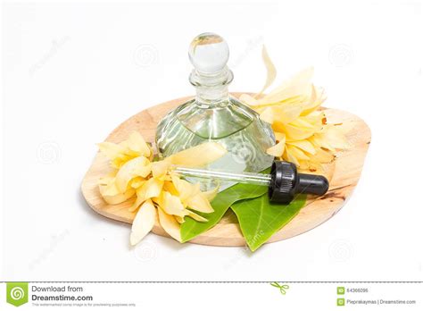champaka essential oil decoration  thai spa stock photo image