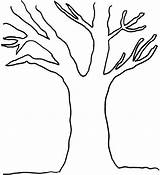 Tree Coloring Pages Leaves Without Bare Drawing Branch Branches Clipart Trunk Leafless Printable Line Leaf Template Trees Colouring Outline Government sketch template