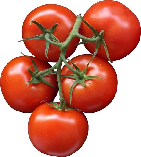 cherry tomato clip art tomato png