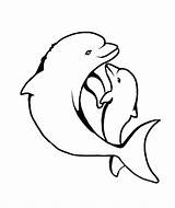 Dolphin Dolphins Delfiny Wydruku Clipartmag Kolorowanki Kolorowanka Ryby sketch template