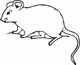 Mouse Coloring Rat Pages Mice Kids Printable Print Souris Clipart Drawing Cute Colouring House Coloriage Mole Petite Color Template Realistic sketch template