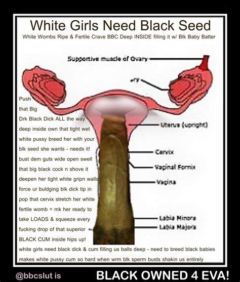 pregnant by black seed cumception
