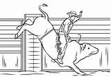 Rodeo Riding Toros Monta Toro Jinete Rider Bucking Bulls Cowboys Niños Supercoloring Coloring sketch template
