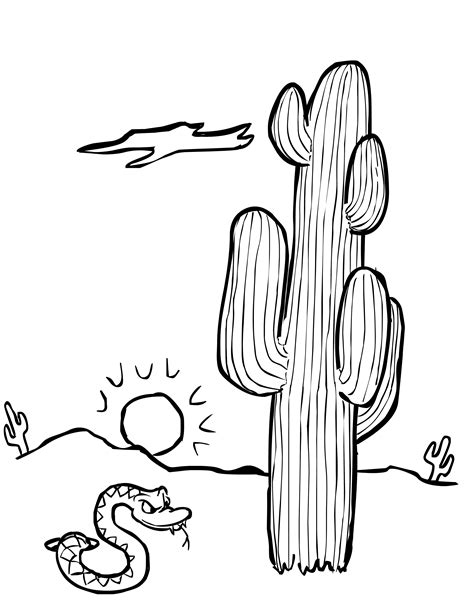 printable cactus coloring pages  kids