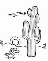 Cactus Coloring Pages Printable Kids Bestcoloringpagesforkids sketch template