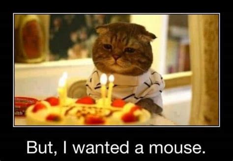 42 most happy funny birthday pictures and images