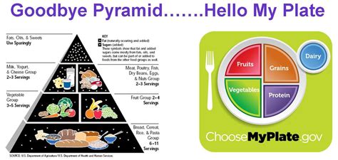 Food And Thought Goodbye Pyramid Hello Myplate