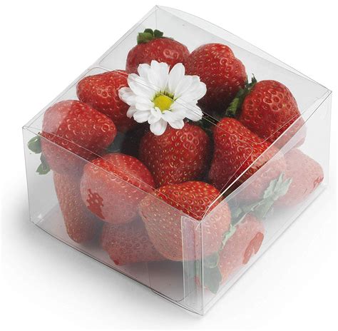 clear plastic boxes  pack transparent pastry containers set xx