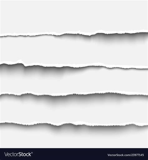 torn paper strip template royalty  vector image