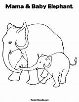 Coloring Pages Elephant Mammals Elephants Worksheet Baby Mama Thailand Cartoon Printable Colouring Color Forgets Twistynoodle Never Print Clipart Noodle Search sketch template