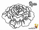 Rose Coloring Pages Colouring Flowers Garland Hard Flower Yescoloring Roses sketch template