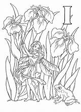 Kleurplaat Elfjes Elfen Alfabet Coloring Elfe Colorat Malvorlagen Volwassenen Fairy Personnages Elfes Literele Animaatjes Alfabetului Fee Litera Să Dessins Colorear sketch template
