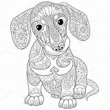 Coloring Dachshund Dog Pages Mandala Zentangle Adult Puppy Mandalas Colouring Puppies Hard Printable Stylized Drawing Adults Stock Tegninger Gratis Goldendoodle sketch template
