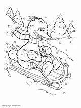 Coloring Pages Winter Sesame Street Bird Big Print Printable Kids Look Other sketch template