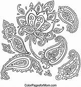 Paisley Coloring Printable Pages Getcolorings sketch template
