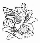 Hummingbird Clipart Lilies Line Flowers Cliparts Clip Lineart Clipartmag Library sketch template