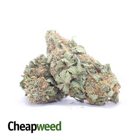 buy  lb og  cheap weed