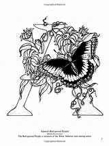 Papillon Alfabet Choisir Papillons sketch template