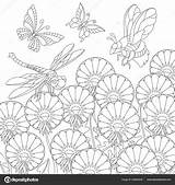 Zentangle Paardebloem Bloeien Kleurende Schmetterling Biene Libelle sketch template
