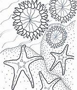 Coloring Sea Anemone Aquarium Pages Monterey Kids Printable Bay Beach Coral Ocean Designlooter Animals Anemones Stars Drawings Color Benthic 276px sketch template