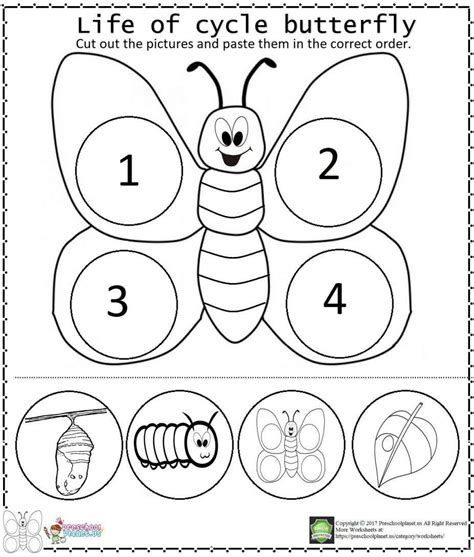 preschool worksheet butterfly life cycle butterfly life cycle